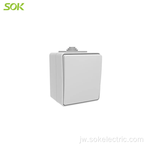 Surface Mounted 2 gang wall switch anti banyu